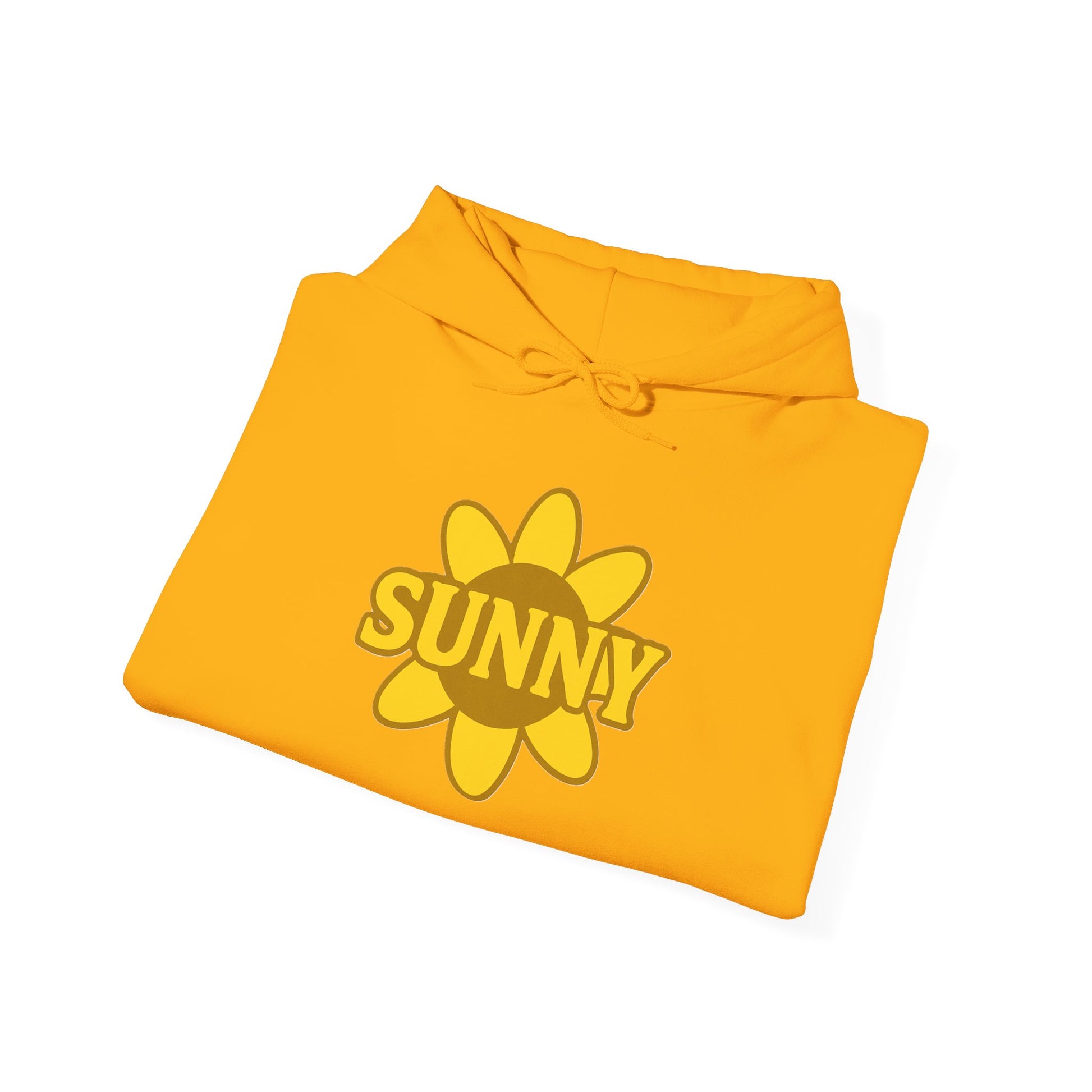 Sunny Message Unisex Hoodie, Cute Sweatshirt, Gift for Sunshine Lovers, Spring Fashion, Cozy Wear, Mental Health Support
